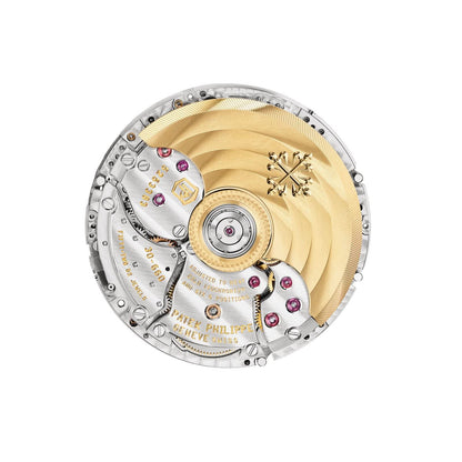 Patek Philippe Grand Complications Watch
