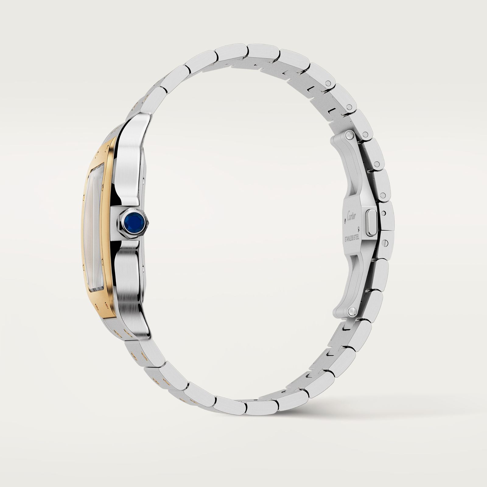 Santos de Cartier watch