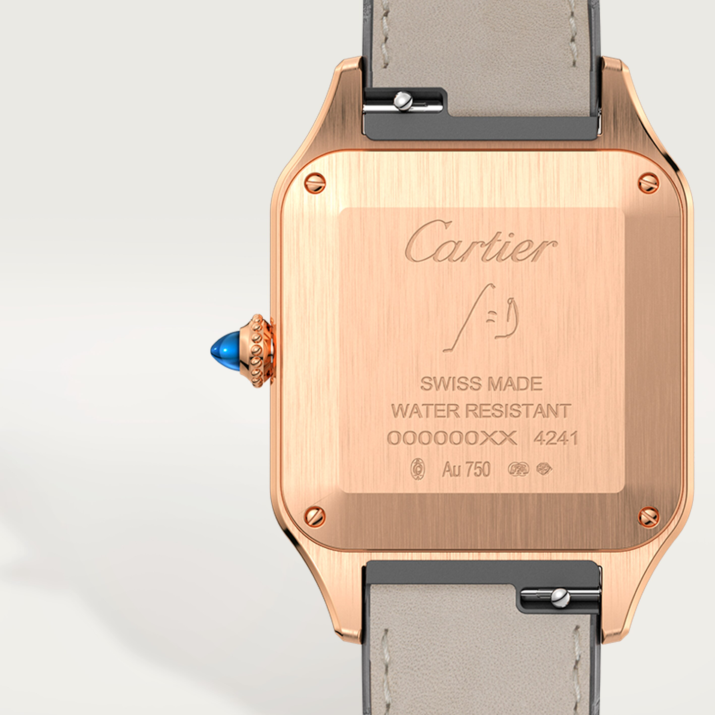 Santos-Dumont de Cartier watch