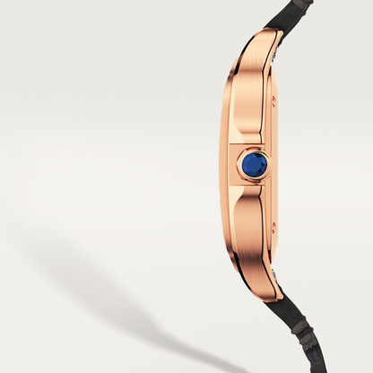Santos de Cartier watch