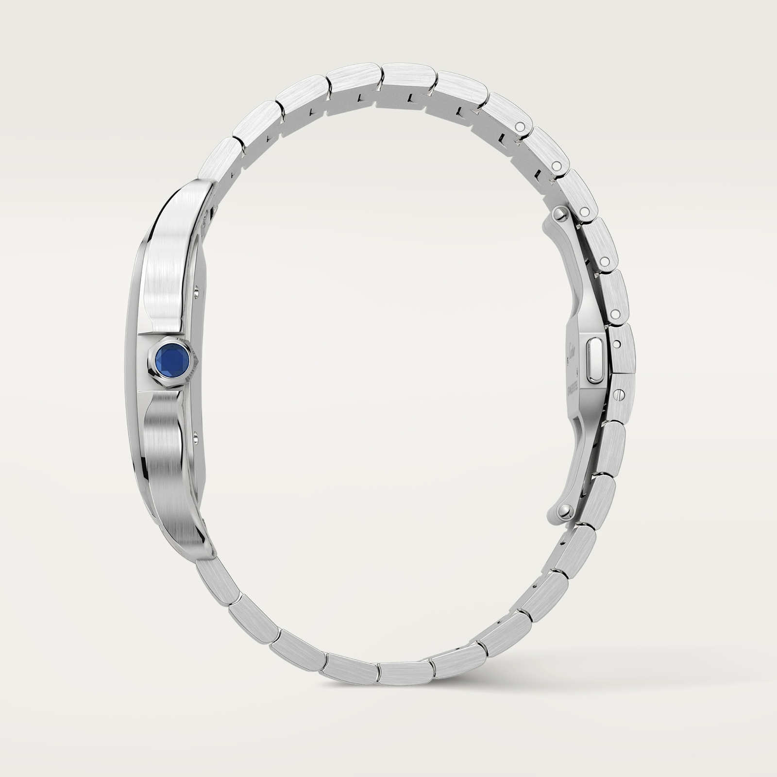 Santos de Cartier watch