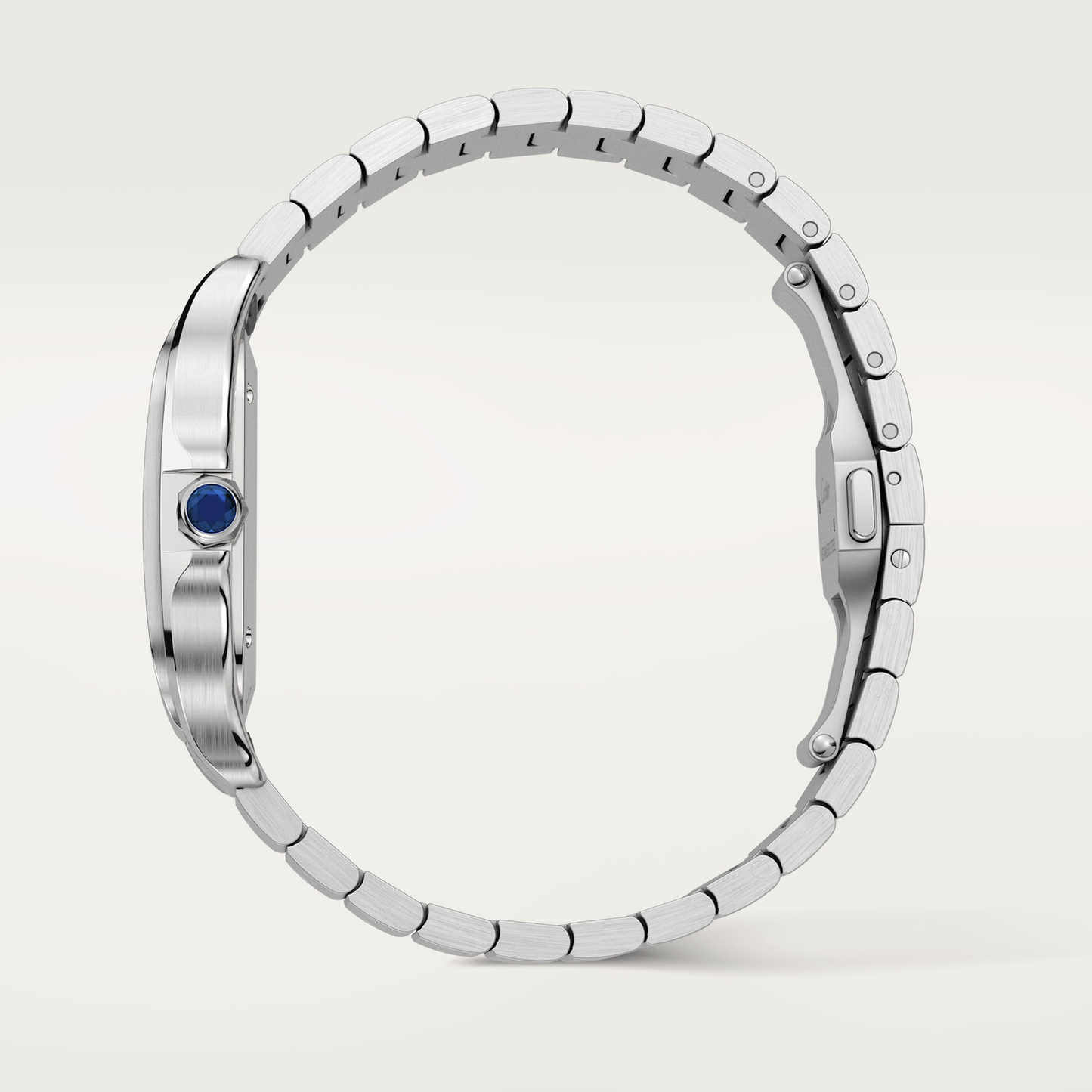 Santos de Cartier watch