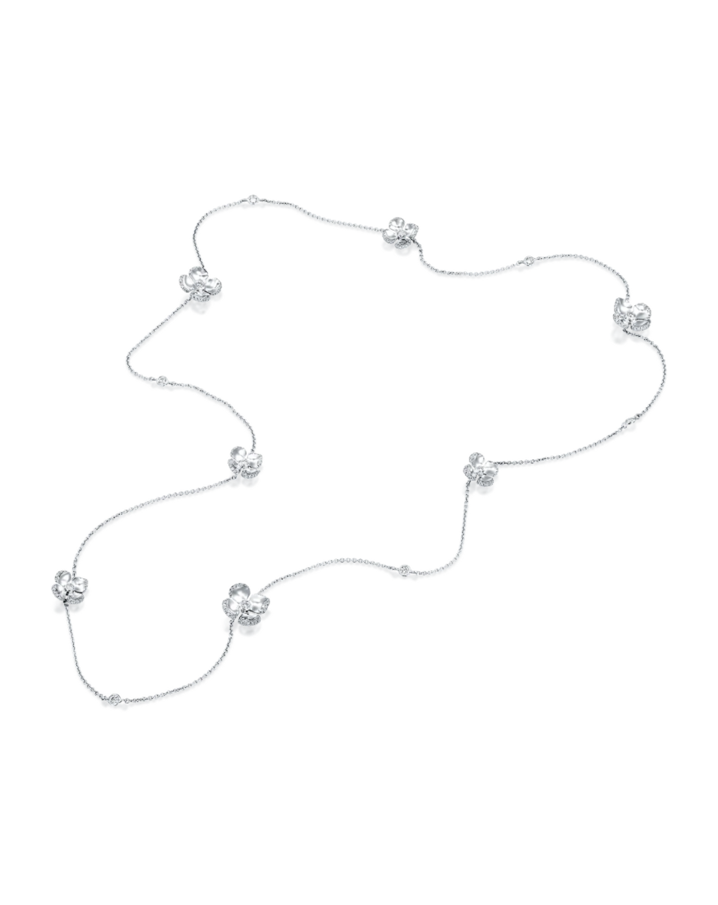 color: White Gold