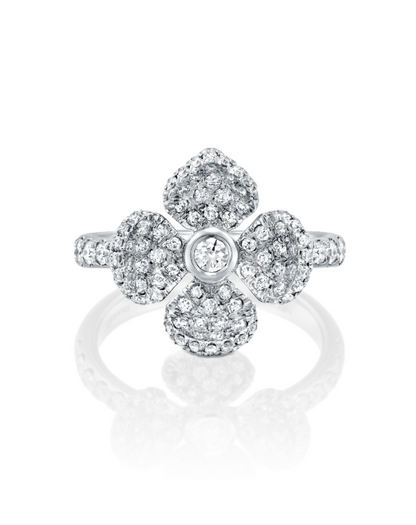 color: White Gold