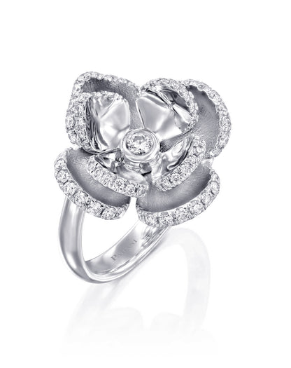 color: White Gold