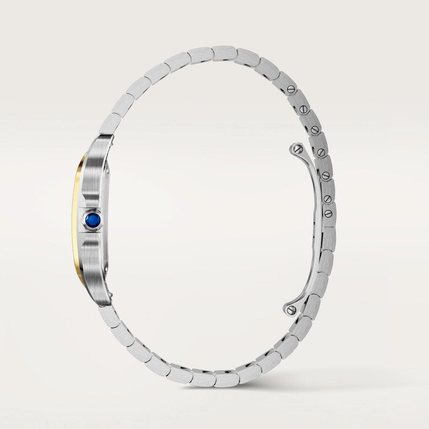 Santos de Cartier watch