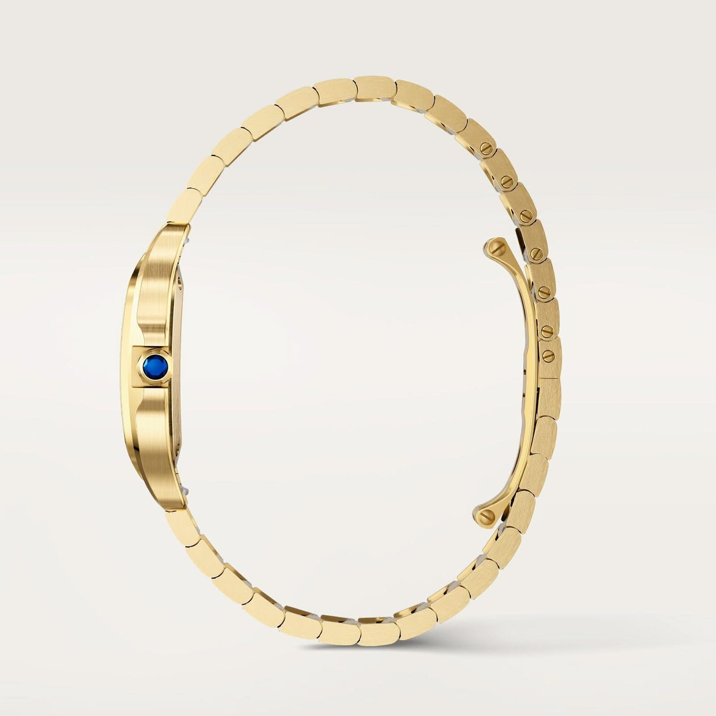 Santos de Cartier watch