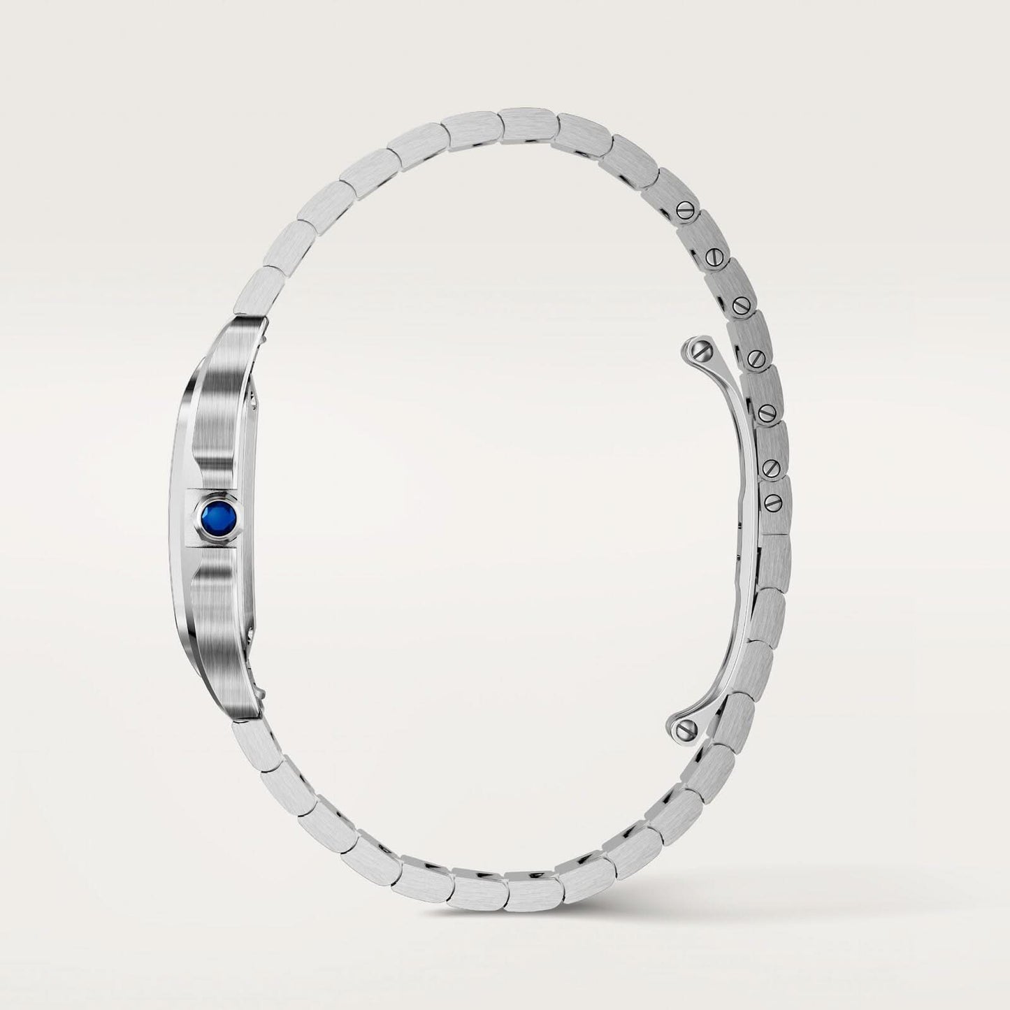 Santos de Cartier watch