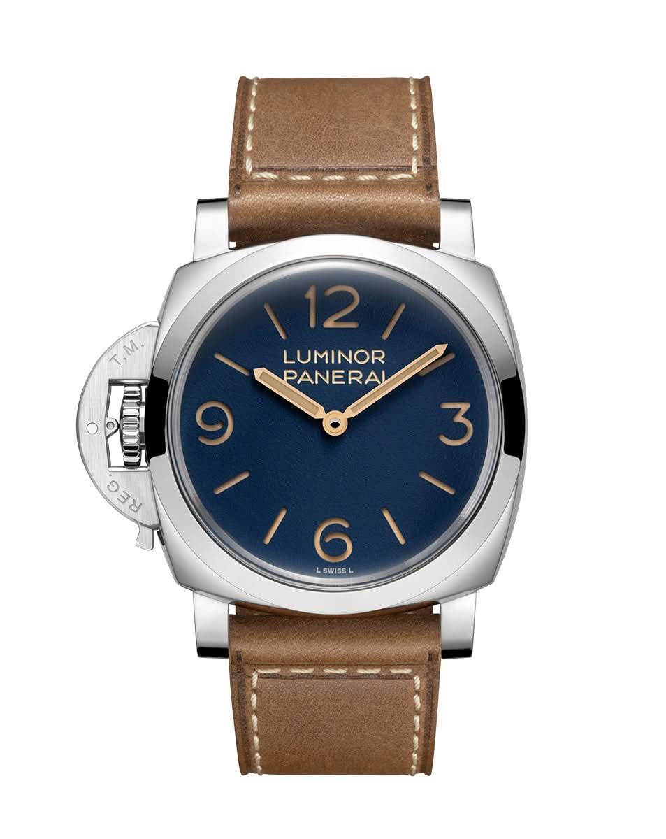  PAM01732 